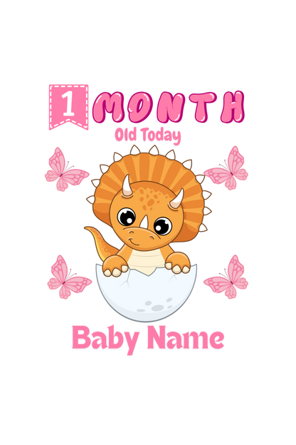 1 Month Celebration : Dino Rompers Printed With Your Baby Girl Name For Their Monthly Milestone
