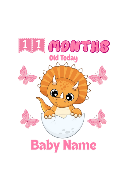 11 Month Celebration : Dino Rompers Printed With Your Baby Girl Name For Their Monthly Milestone