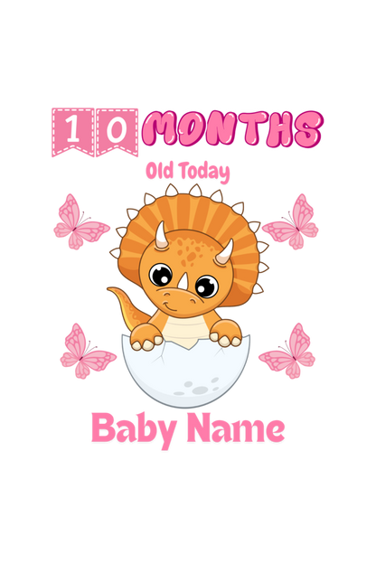 10 Month Celebration : Dino Rompers Printed With Your Baby Girl Name For Their Monthly Milestone
