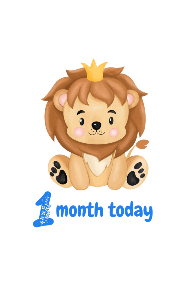 1 Month Celebration :  Lion Baby Romper Printed For Your Baby Boy's Monthly Milestone